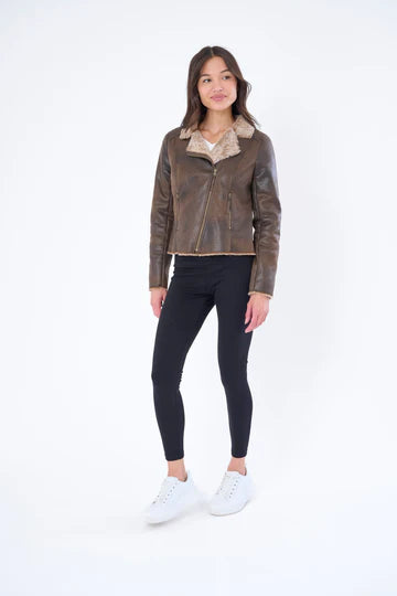 The Chinchilla Moto In Chocolate Brown & Tan