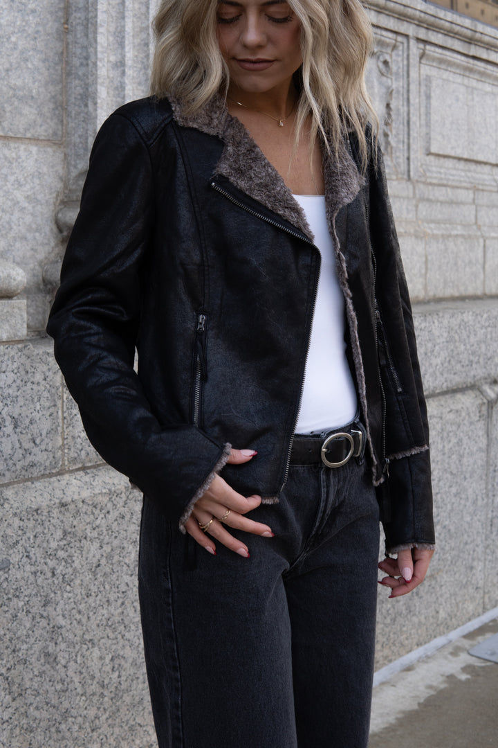 The Chinchilla Moto In Black & Tan