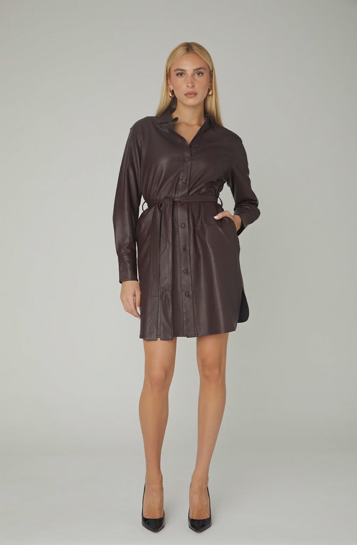 Lainey Leather Dress